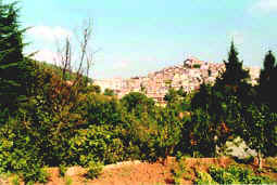 Monte Compatri - Panorama
