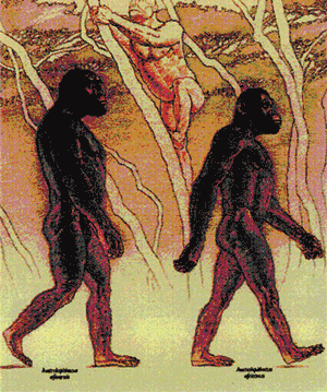 Australopiteci, lontani antenati del genere umano