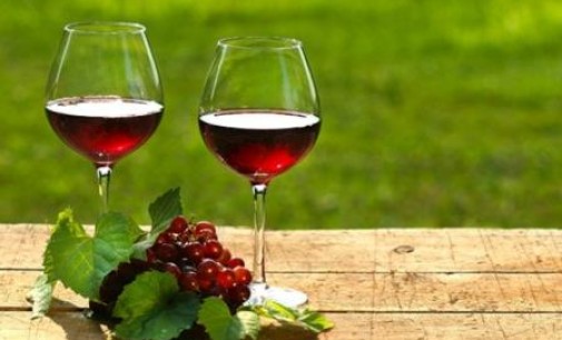 ‘Crea il tuo vino’: il manuale utile al cantiniere e all’enologo