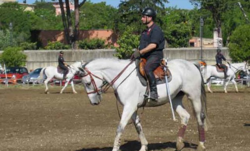 Equitazione: a Piazza di Siena torna a correre “Championesse d’Or”,