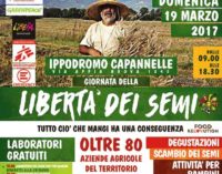 Giornata della libertà dei semi al Mercato Contadino Capannelle