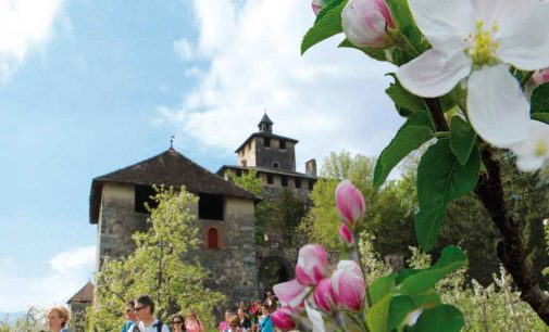Quattro ville in fiore… è la primavera ha inizio in Val di Non