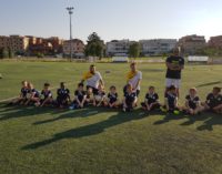Torre Angela, il dg Ciani ufficializza i quadri tecnici per la Scuola calcio 2017-18