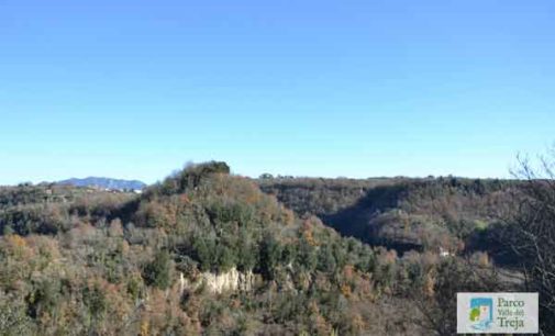 Parco Valle del Treja – Stanno bene i boschi del Parco tutelati dai Progetti Ossigeno