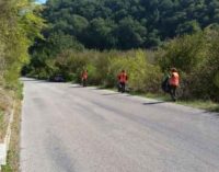 Il personale del Parco ripulisce la strada provinciale e Monte Gelato
