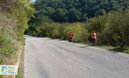 Il personale del Parco ripulisce la strada provinciale e Monte Gelato