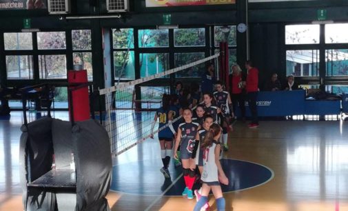 Volley Club Frascati, Bilancioni: «Inizio promettente per Under 12 Elite e U13 promozionale»
