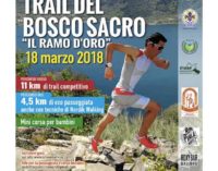 Torna a Nemi la corsa Trail del Bosco Sacro