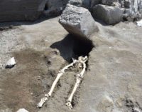 Pompei – In fuga dall’ eruzione  schiacciato da un grosso blocco di pietra