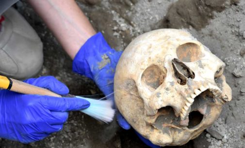 Pompei – Rinvenuta la testa del fuggiasco nel cantiere dei nuovi scavi