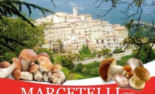 La Festa del fungo porcino anima Marcetelli (RI)