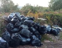 Decine di sacchi di immondizia abbandonati al Vivaro