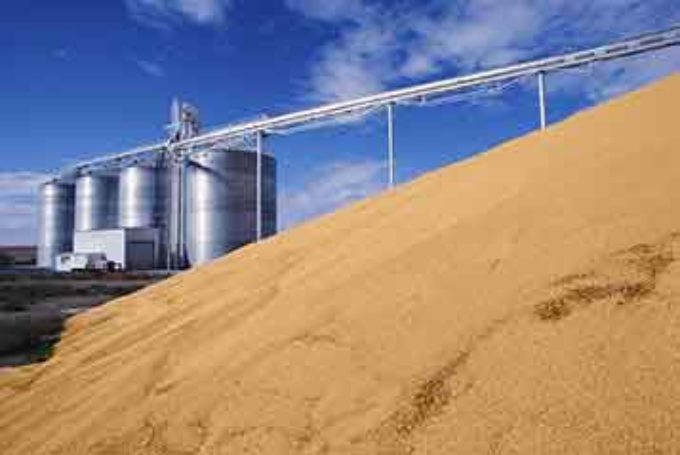 Agricoltura frammentata e scorte scarse aumentano l’import per l’industria di trasformazione