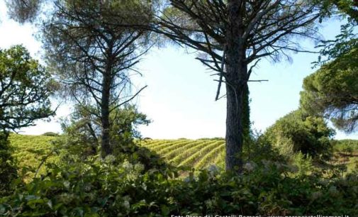 Rassegna nazionale dei vini di Parchi e Aree Protette