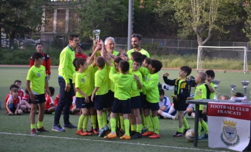 Football Club Frascati, la prossima settimana i primi Open days della Scuola calcio