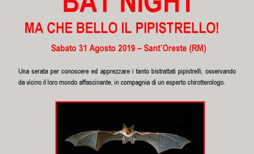 Sant’Oreste: BAT NIGHT
