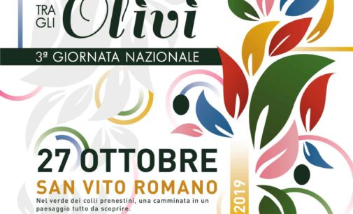 San Vito Romano aderisce alla terza giornata nazionale della “Camminata tra gli Olivi”