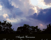 “La porta socchiusa in mezzo al cielo” di Angela Cuccarese