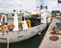 Ambiente: nasce il primo osservatorio sottomarino in profondità della Liguria