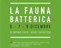 La fauna batterica, 6-8 dicembre Nuovo Teatro San Paolo