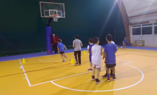 Ssd Colonna (basket), Ranelletti: “Soddisfatti della crescita del nostro gruppo Under 12”