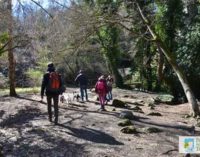 Parco Valle del Treja – In partenza la stagione di visite guidate 2020