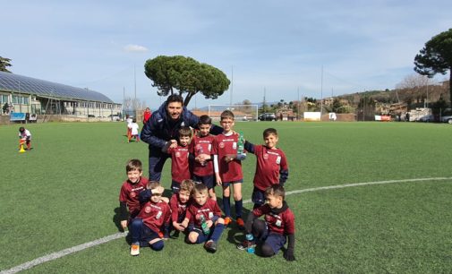 Football Club Frascati (Scuola calcio), Fabiani: “Quante soddisfazioni coi nostri piccoli calciatori”