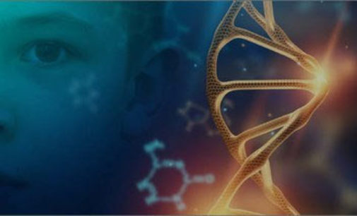 Ricerca: ENEA brevetta nuovo composto per il trattamento di una malattia genetica rara