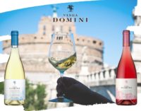 Vinea Domini riparte dal territorio con i vini Friccicore e Luccicore