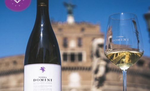 Castelli Romani, vino Roma Doc di Vinea Domini premiato da 5StarWines – the Book