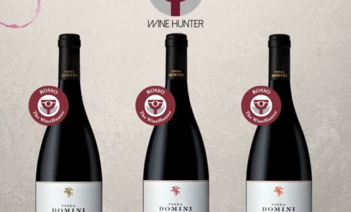 Marino, Vinea Domini premiata anche al “The Wine Hunter Award”