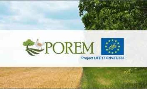 Agricoltura: ENEA nel progetto europeo per la lotta alla desertificazione
