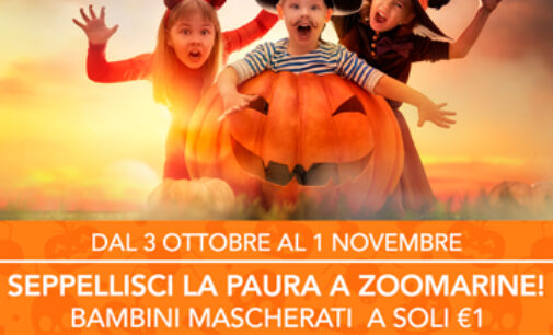 La Magia di Halloween arriva a Zoomarine. Dal 3 ottobre al 1° novembre, un mese di attività e sorprese a tema