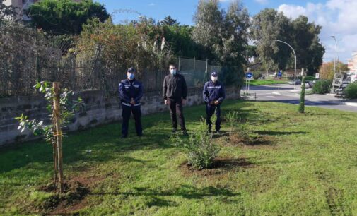 Verde a Pomezia, la Polizia locale dona 6 nuovi alberi e arbusti alla Città