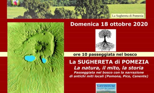 Riserva Naturale Regionale della Sughereta di Pomezia. Cose mai viste