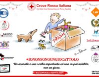 “Io non sono un giocattolo” la campagna di Natale della Croce Rossa di Roma a favore degli animali