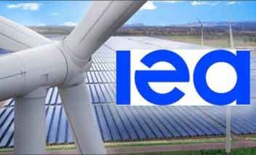 Energia: report ENEA – IEA, tornano a crescere gli impianti fotovoltaici in Italia (+12%)
