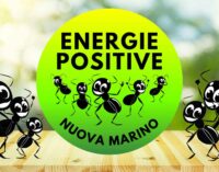 La carica delle Formiche: ecco la Lista Civica Energie Positive per una Nuova Marino