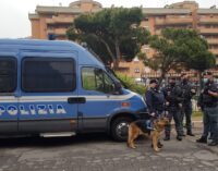 Via Fellini, maxi operazione interforze di Polizia di Stato e Polizia Locale di Roma Capitale e Pomezia