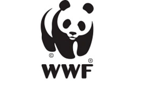 PNRR: WWF, SIGNIFICATIVO MA NON BASTA