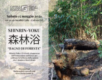 Opera Bosco Museo di Arte nella Natura –  Calcata (Vt) – “Bagno di foresta” 15 maggio 2021