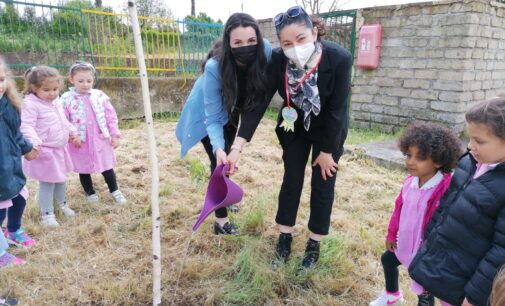 Giornata della Terra, piantati diversi alberi dalle scuole di Valmontone