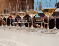 Marino – Vinea Domini:  tradizione, futuro e gusto di…vino