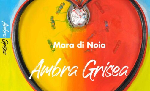“Ambra Grisea”, romanzo di Mara di Noia   