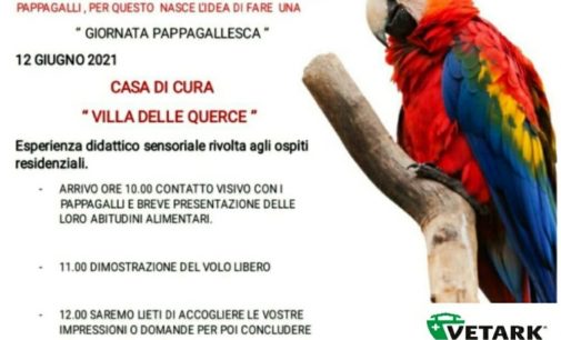 Nemi – Dimostrazione di volo libero con i pappagalli alla Casa di Cura Villa delle Querce