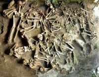 I resti umani di Ercolano: un’istantanea della società