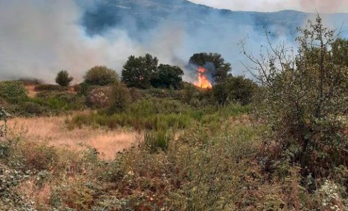 Incendio tra Monte Tuscolo, Pratarena e San Silvestro