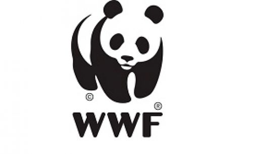 COP26, WWF: FINALE DELUDENTE, MA RIMANE UNA FINESTRA APERTA PER RESTARE DENTRO 1,5°C