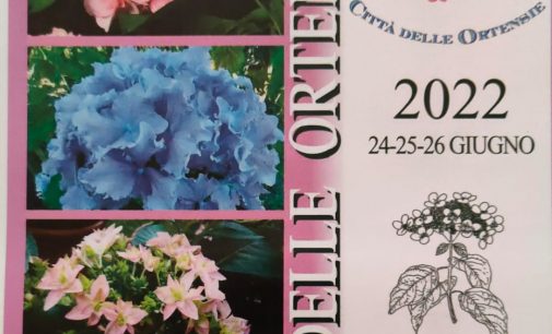 Mostra mercato Festa delle Ortensie,  torna la tre giorni di fiori e colori a Bolsena