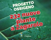 232 nuove piante a Zagarolo